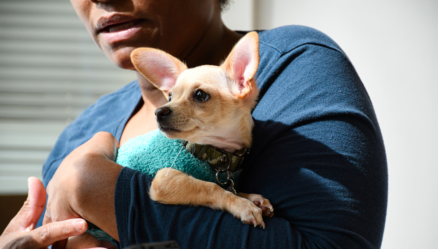 Woman holding pet dog